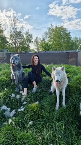 I chose wolves over what ifs and never looked back