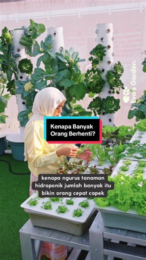 Sistem Hidroponik: Pengaturan Aliran Air yang Efisien