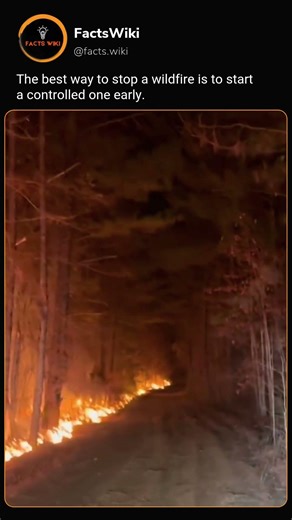 Not all fires are disasters—some are prevention 🔥