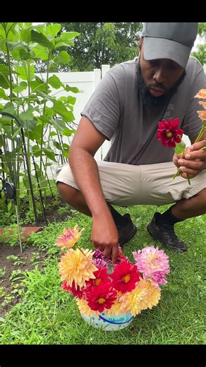 Today’s dahlia harvest 🌸✨