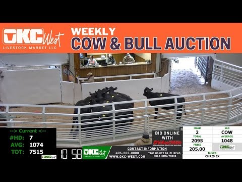 LIVE Cow & Bull Market in Oklahoma | OKC West Livestock Market | Real-Time Prices