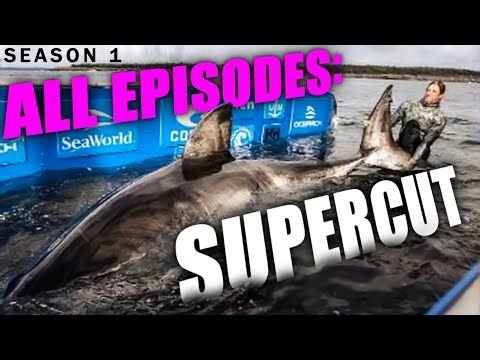 New Megalodon Shark Discovery, Real Kraken Sightings, Strange Mysteries - CR 2.0 Supercut Season 1