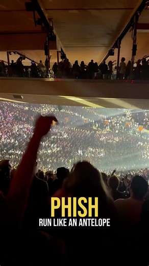 Phish Concert Highlights: Run Like an Antelope