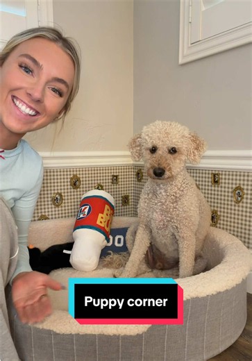 Welcome to Don’s corner!! #ad #DIY #craft Save 15% on @Open Farm Pet dog & cat food in stores from 8/3 - 8/31 !! @PetSmart