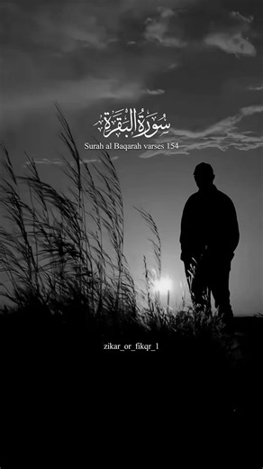 surah al Baqarah varaes 154 #zikar_or_fikqr_1 #quran_alkarim #quranurdutranslation #islamic_video #100k