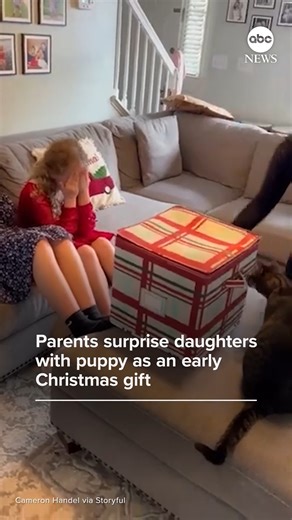 Two young girls in South Carolina were surprised by their parents when they received a puppy as an early Christmas gift. Their mother said they had been asking for a puppy for months after the loss of their previous dog. https://abcnews.visitlink.me/XZTvMH | ABC News
