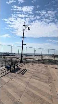 **Paws, Courage, and the Kensington Dog Run**