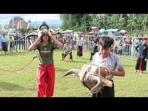 MANGUN JOYO PUTRO‼️Bantengan DJ Mberot full Kalapan live Kedungmonggo - Pakisaji