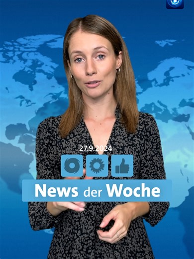 Woche der Nachrichten: Hurricane, Grüne Partei und Social Media