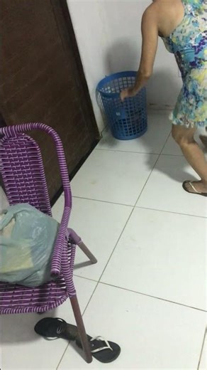 Woman Struggles to Catch Armadillo Indoors with Basket