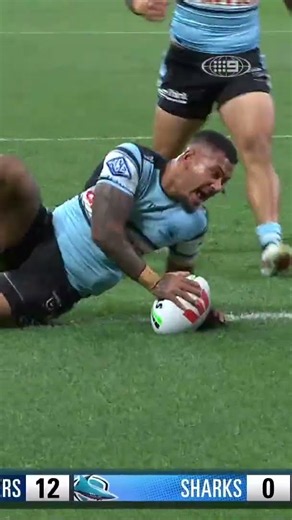 THE SHARKS CAN SMELL BLOOD 🦈