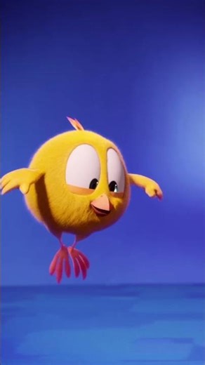 Boom #chicky | Chicky Cartoon in English for kids