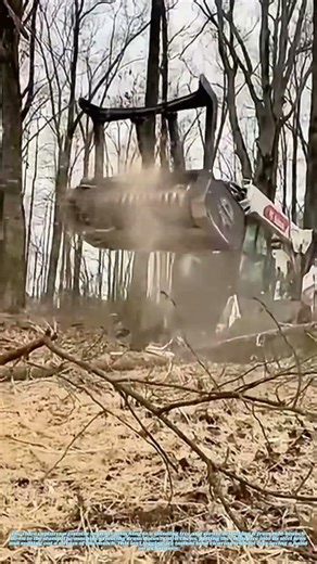 Eating Trees Whole: How a Hydraulic Jaw Turns Timber into Toothpicks