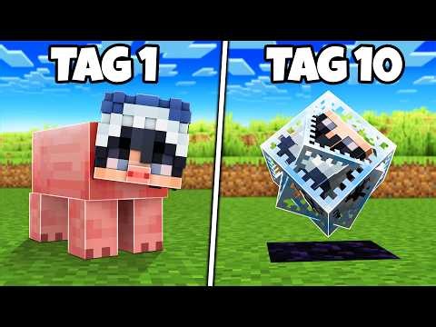 Minecraft, aber ich kann mich in ALLES VERWANDELN...