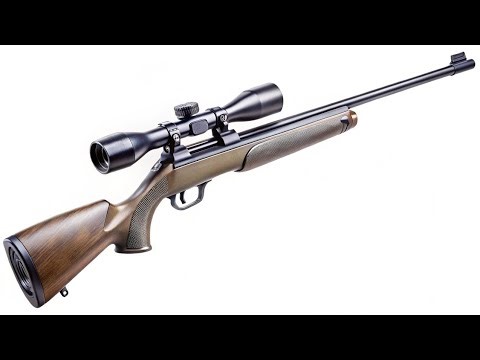 Gamo Big Cat 1200 – This 1200 FPS Spring Air Rifle SHOCKED Me