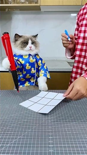 She Cheated in Tic-Tac-Toe The Cat Got Revenge 😼 #shortvideo