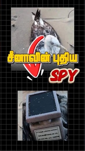 😱இந்தியாவில் நடமாடும் சீனாவின் Spy ! #shorts #china #india #spy #scary #trending #ubnormal #mystery