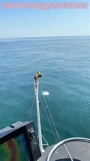 Harpooning Balance: The Solo Hunt from a Sailing Bow