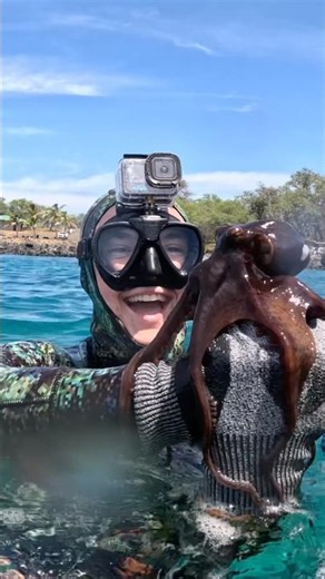 Catching A OCTOPUS While DIVING!!