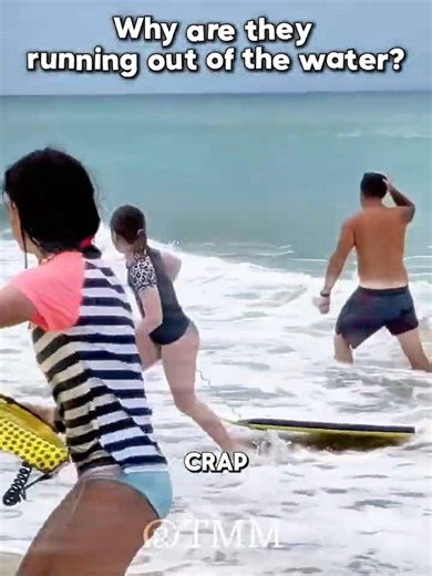 Running from a Shark 🦈…