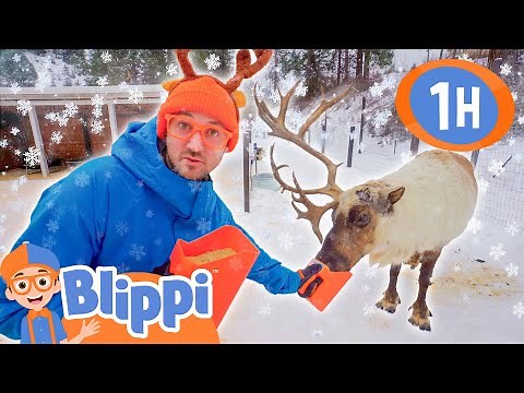 Blippi Feeds Rudolph? 🦌 Blippi Visits a Snowy Reindeer Farm! 🦌❄️ Fun for Kids | After School Club