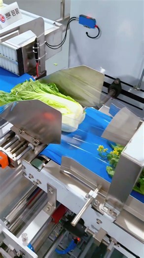 Faster & Standardized Vegetable Packing | Reduce Waste with Automation