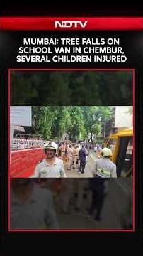 Student Dies, 10 Injured After Tree Falls On School Bus In Mumbai's Chembur