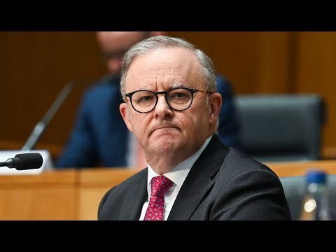 ‘Pretty grim’: Albanese under fire after Trump singles out Australia