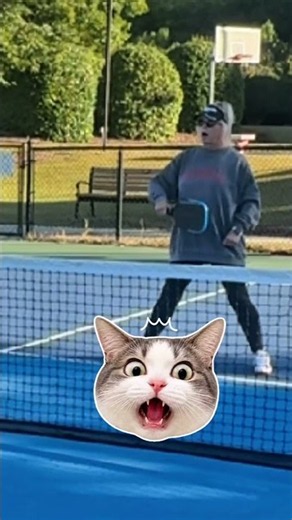 How to hit the perfect backhand punch volley #pickleball #shorts