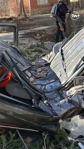 Fort Collins estimates 200 to 300 trees fell during windstorm