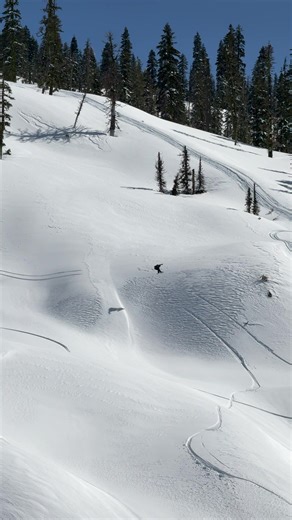 Wylder gets buck over a natty gap on the #tricepro #libtech #mervinmade 🇺🇸🌱 @BentMetalBindingWorks