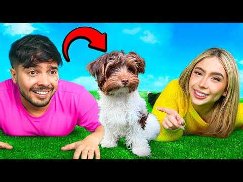 LE REGALÉ un PERRITO BEBÉ a YOLO *lloró*