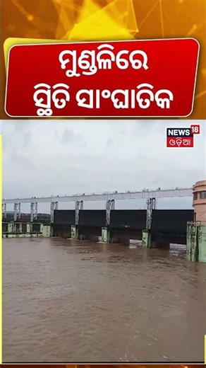 ମୁଣ୍ଡଳିରେ ସ୍ଥିତି ସାଂଘାତିକ ! Mahanadi Flood Alert | Odisha Flood News | Odisha Rain | Weather Update