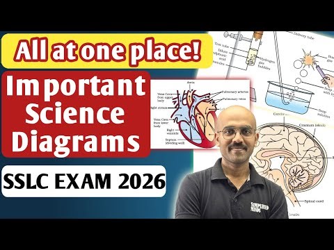 Important Science Diagram