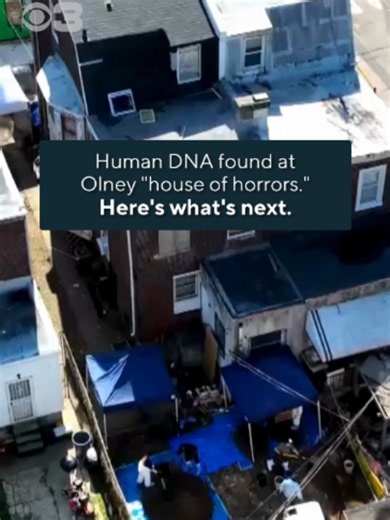 Human DNA was discovered inside the so-called Olney “house of horrors” after a successful luminol treatment, sources confirmed to CBS News Philadelphia. Crews returned to the home on Chew Ave. Wednesday morning to excavate the front yard in search of additional evidence of human remains linked to as many as seven missing women. One woman traveled from Scranton to get a glimpse at the ongoing investigation, still in disbelief over what is unfolding. #olney #philly #houseofhorrors