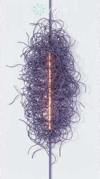 $SEDG | SolarEdge — 3 Min Breakdown