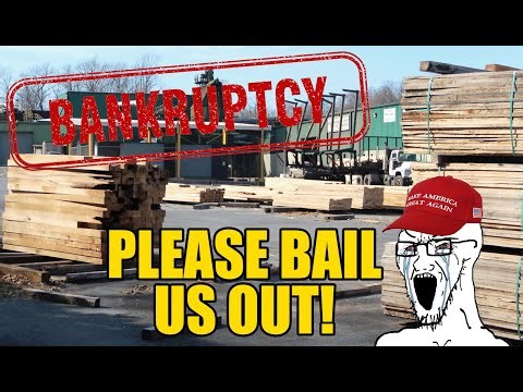 Trump Tariffs BANKRUPT PA Lumber Industry (Now They Want A Bailout)