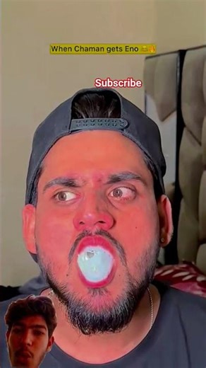 Shark Meme Green Screen - Funny Twist[209]