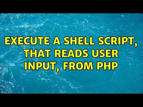 Execute a shell script, that reads user input, from PHP