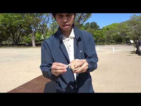 I tried the Koma-mawashi Spinning Top Traditional Japanese game inside Nagoya Castle