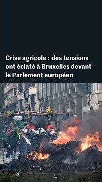 Crise agricole : les images des tensions qui ont éclaté à Bruxelles devant le Parlement européen