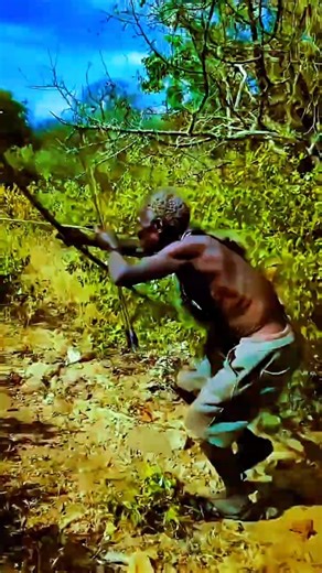 Daily Hunt for Life – Hadzabe Jungle Survival Story ⚡🏹🌿 #Shorts #SurvivalLife #WildAfrica #trending