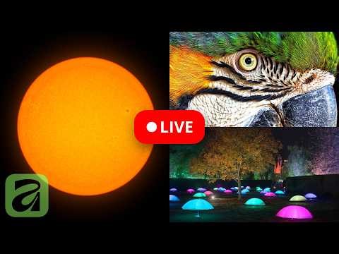 Affinity LIVE: New 3.2 and 3.1 features for image/photo editing