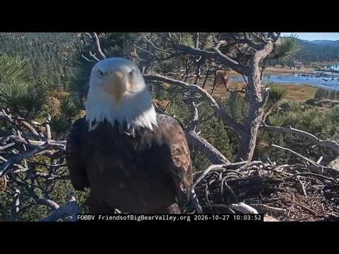 10-27-26 Quiet views and a Visiting Eagle