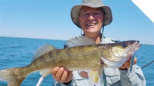 How to catch walleye while jigging