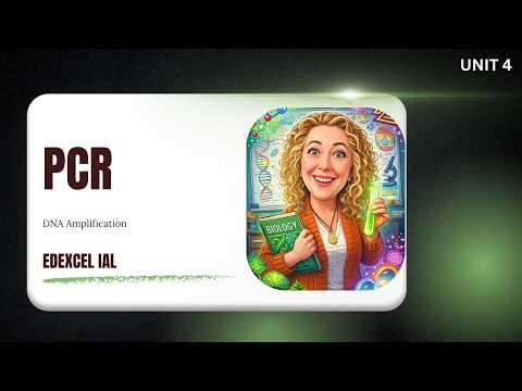 How PCR Works | DNA Amplification Step-by-Step | Edexcel IAL Biology