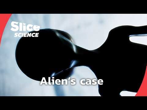 The UFO case that still divides investigators | SLICE SCIENCE | FULL DOC