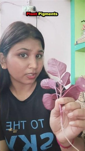 Photosynthesis Secret Explained #science #facts