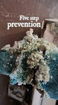 These 5 Tips Save Homeowners from Frozen Pipe Disasters #winterprotection #diy