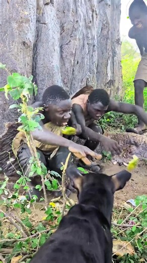 When the Hadza were eating lemons #africa #funny #indonesia #comedy #brasil #uk #usa